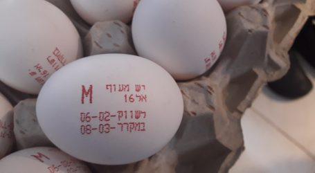 זהירות: סלמונלה בביצים עם חותמת מזויפת "יש מעוף". כך תזהו