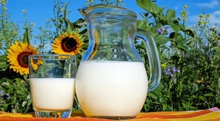 אודי גוזלן: "החלב מתייקר עקב הוראת בג"ץ ותקופת 'אחרי החגים'"