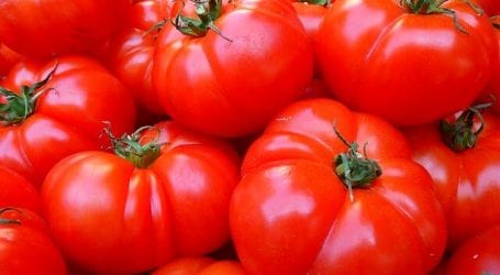 כך תזהו עגבנייה ישראלית ותתמכו בחקלאים מול יבוא עגבניות מתורכיה