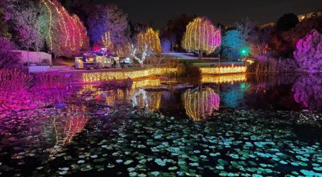 Winter Lights בגן הבוטני בירושלים: בילוי מושלם בחורף 2021