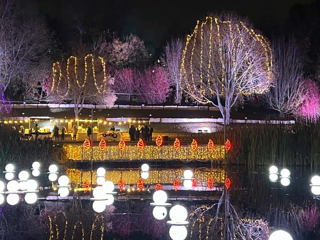 Winter Lights הגן הבוטני בירושלים ווינטר לייטס