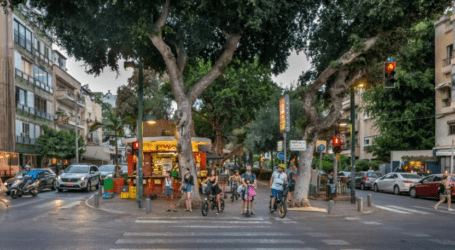 יקר וטוב לה: מה הופך את תל אביב לעיר כל כך מבוקשת?