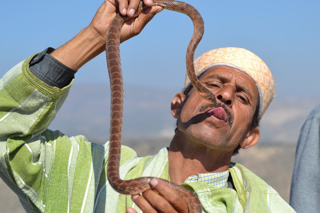 טיסות למרוקו: תמונה של אדם אוחז בנחש