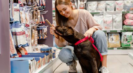 חנות חיות בפתח תקווה – מהי חנות חיות מומלצת וטובה באמת?